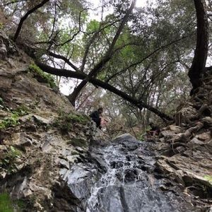 Meet your Posher, Noah